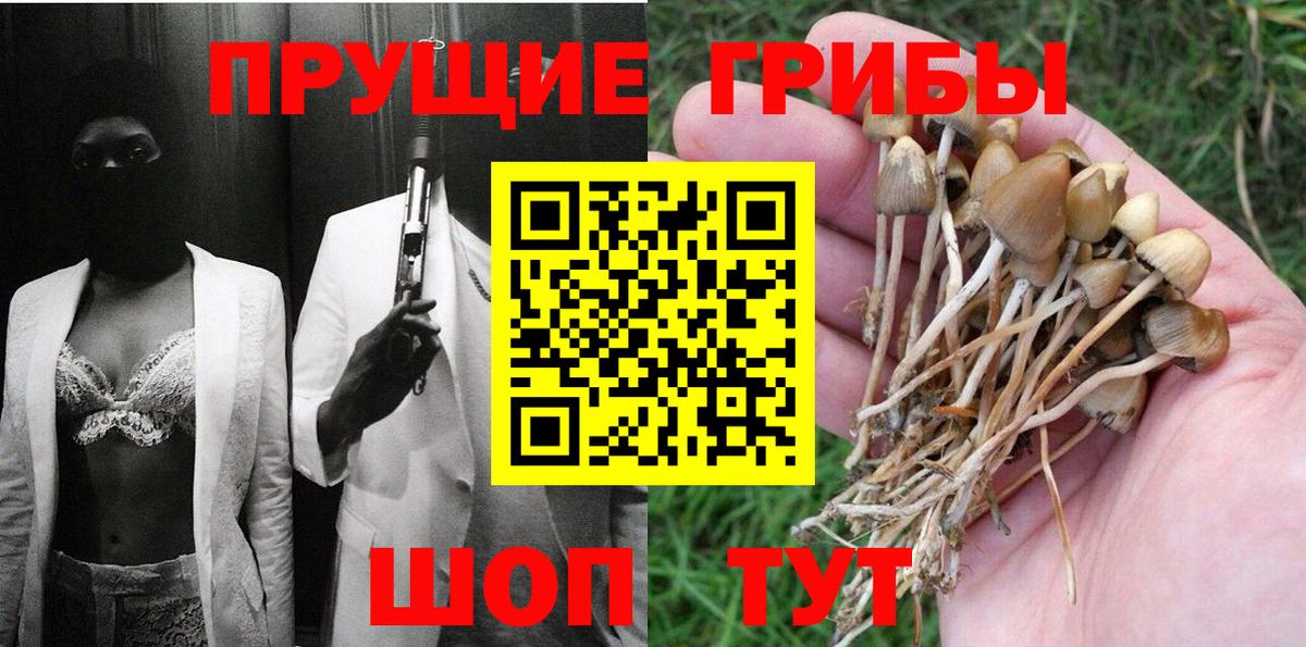 Ефремов  Псилоцибиновые грибы ЛСД  где найти   Вход с VPN 
