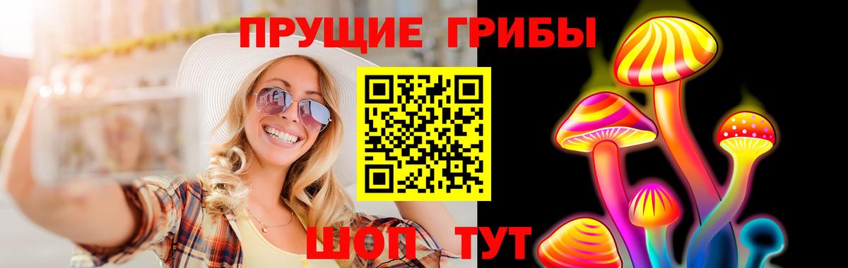 Псилоцибиновые грибы Psilocybe Ефремов